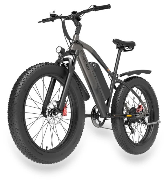 Electric Bike — E-Bikes, GOGOBEST