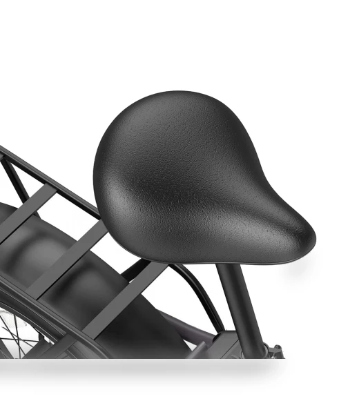 Foldable Electric Bike — Electric Self-Balancing Scooters, Fafrees