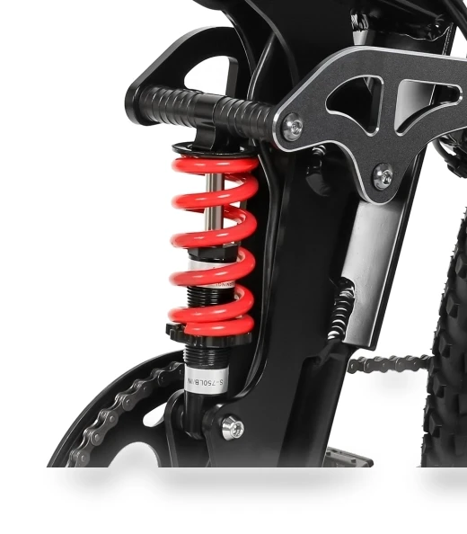 Foldable Electric Bike — E-Bikes, SAMEBIKE