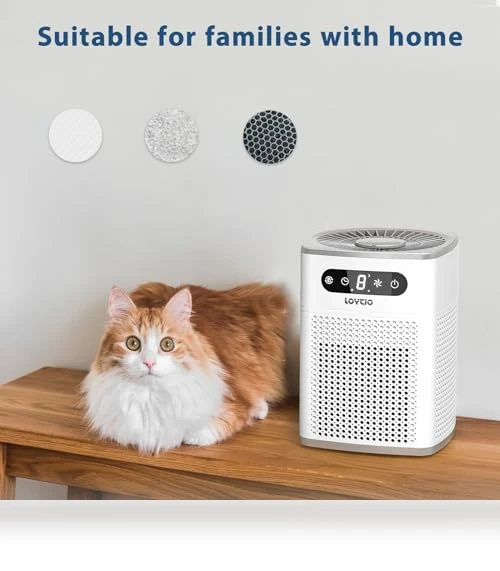 HEPA Air Purifier with Aromatherapy — HEPA Air Purifiers