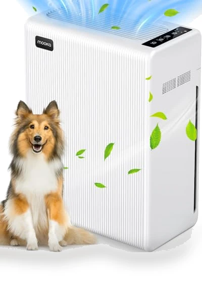 Large Room Air Purifier — Activated Carbon Air Purifiers, Mooka Family