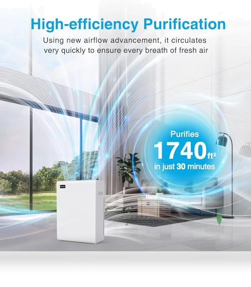 Large Room Air Purifier — Activated Carbon Air Purifiers, Mooka Family