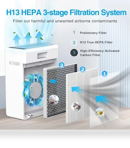 Large Room Air Purifier — Activated Carbon Air Purifiers, Mooka Family