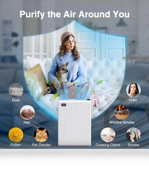 Large Room Air Purifier — Activated Carbon Air Purifiers, Mooka Family