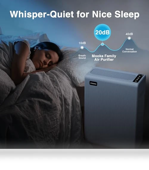 Large Room Air Purifier — Activated Carbon Air Purifiers, Mooka Family