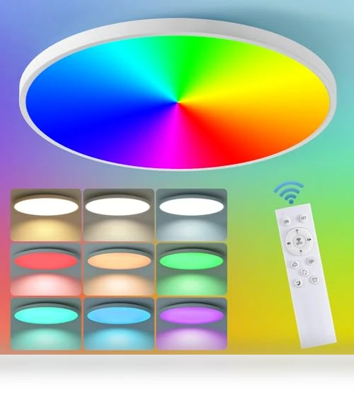 Smart Ceiling Light with Remote Control — Overhead Lighting, HENTAG