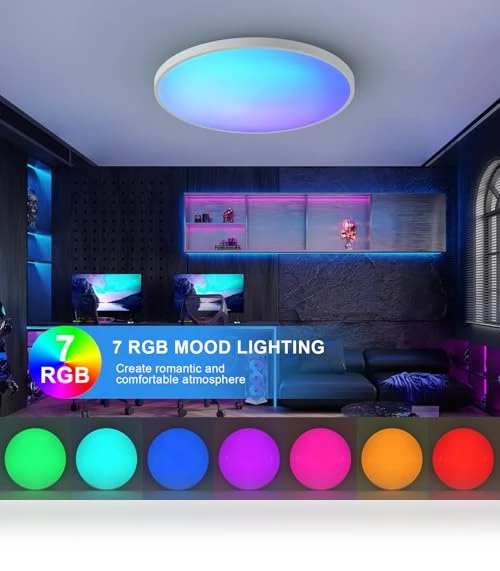 Smart Ceiling Light with Remote Control — Overhead Lighting, HENTAG