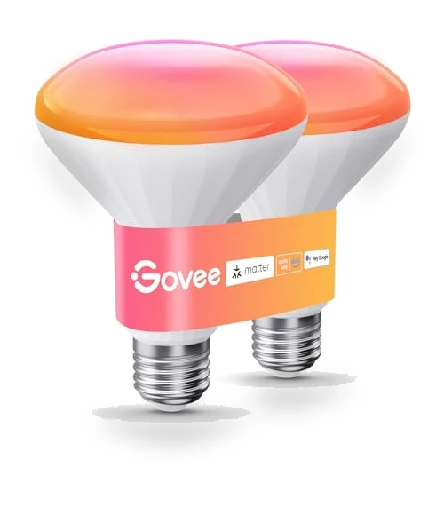 Smart Light Bulbs — Incandescent, Govee