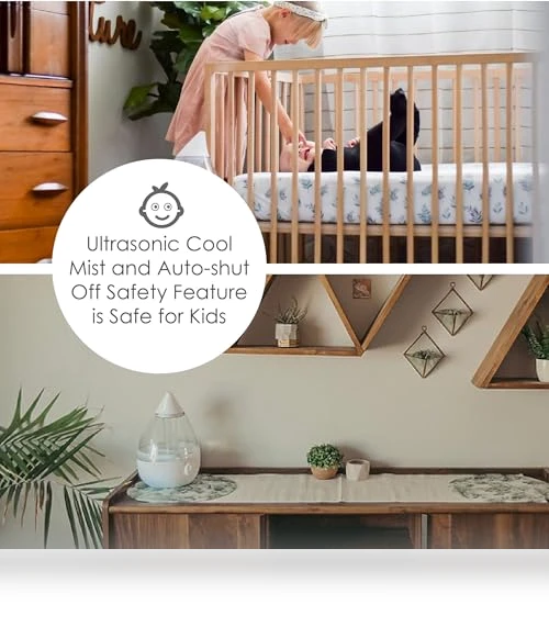 Teardrop Ultrasonic Cool Mist Humidifier — Air Moisturizers, Crane USA