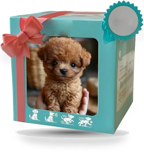Upgraded Robot Dog — Interactive Animal Companions, EJV