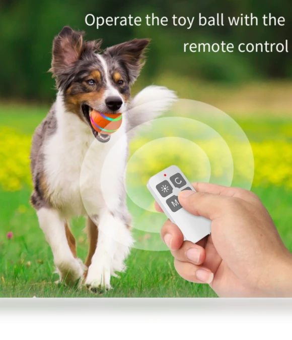 Intelligent pet toy ball — Interactive Animal Companions
