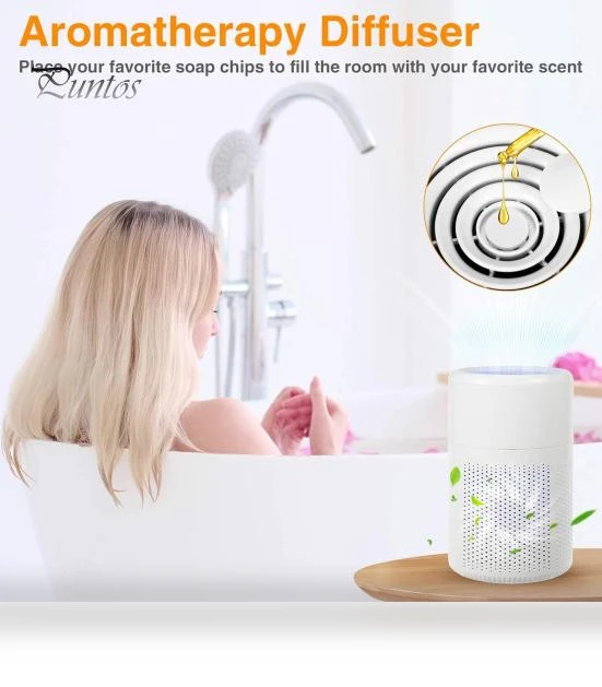 Intelligent Air Purifier — Activated Carbon Air Purifiers, Puntos Electronics