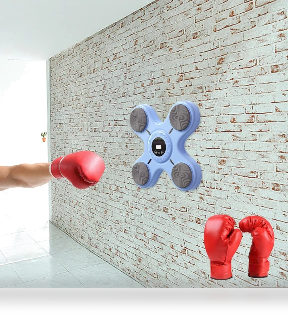 Electronic Boxing Trainer — Boxing Training Gear, Closet of Beauty