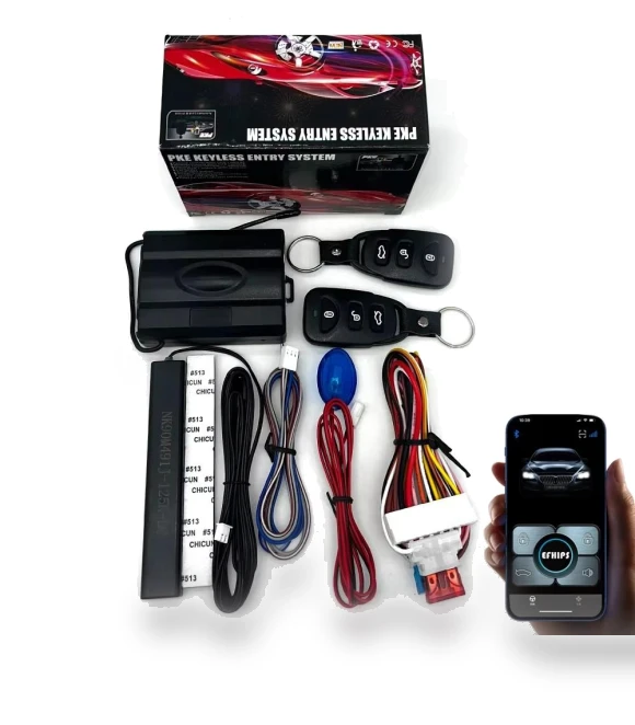 Smart Induction Keyless Entry Module — Keyless Entry, EFHIPS