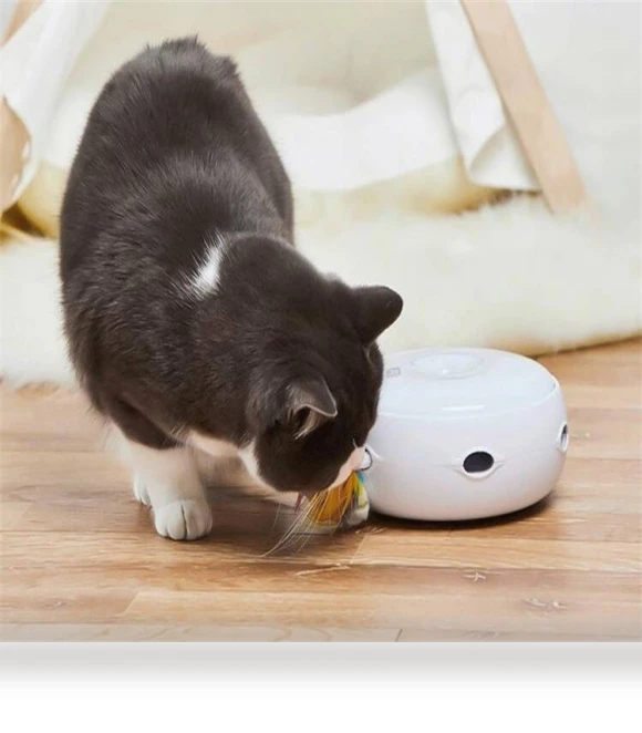 Electric Rotating Turntable Funny Cat Toy — Cat Playthings