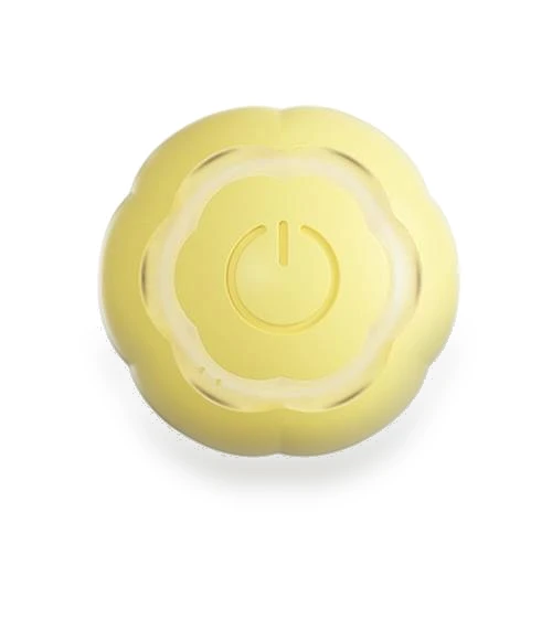 Intelligent Rolling Ball Motorized Toy for Cats — Cat Playthings