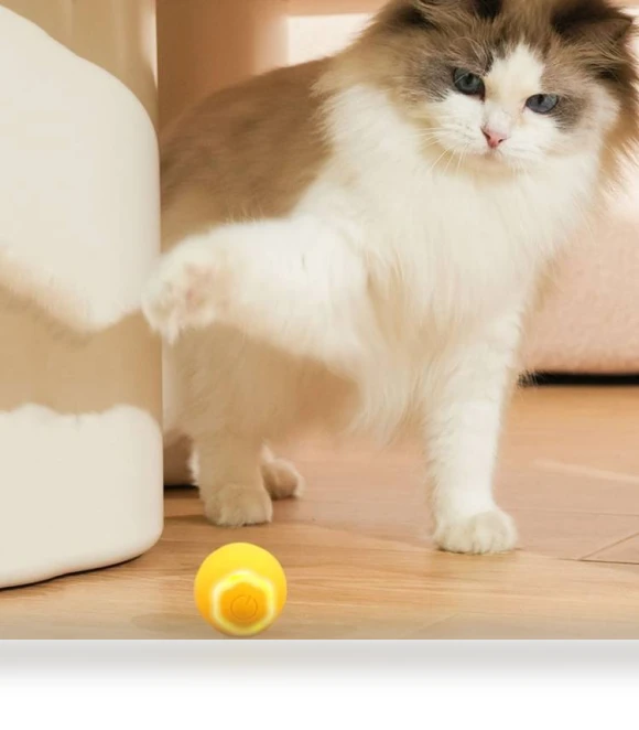 Intelligent Rolling Ball Motorized Toy for Cats — Cat Playthings