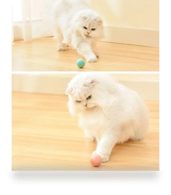 Smart Gravity Teaser Cat Rolling Ball - Teeth Resistant Cat Toy — Cat Playthings