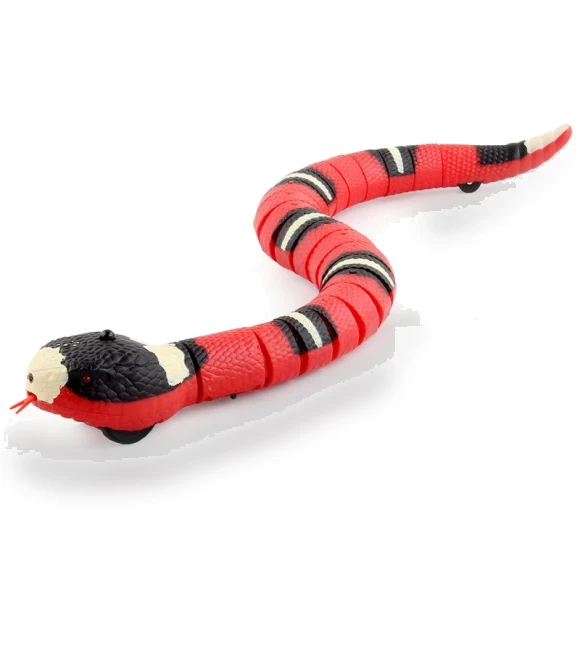 Automatic Cat Toys, Electronic Snake — Interactive Animal Companions, BC Pet Supplies