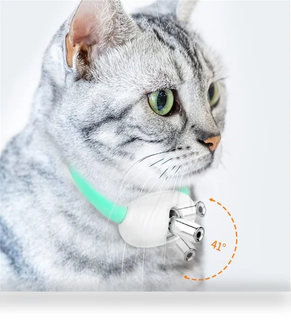Smart teasing collar for cats — Cat Playthings, Yuki