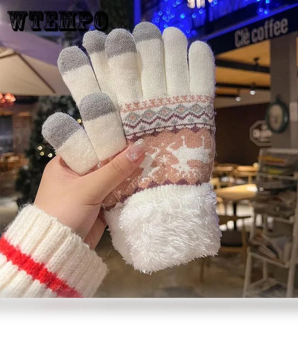 Winter Gloves with Touchscreen Capability — Arm Warmers, WTEMPO