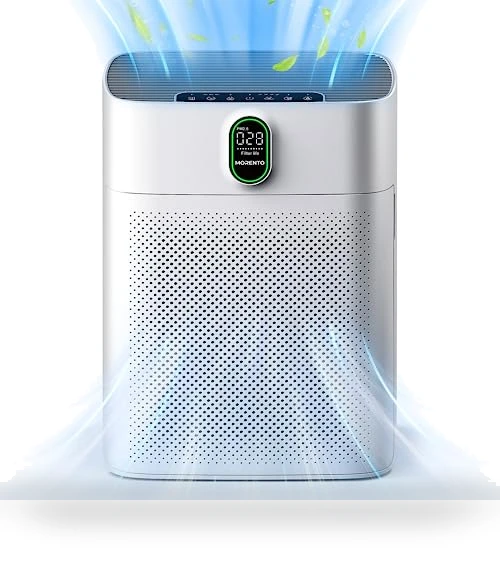 Air Purifier for Home Large Room — Activated Carbon Air Purifiers, MORENTO