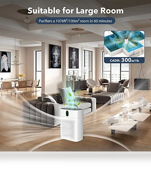 Air Purifier for Home Large Room — Activated Carbon Air Purifiers, MORENTO