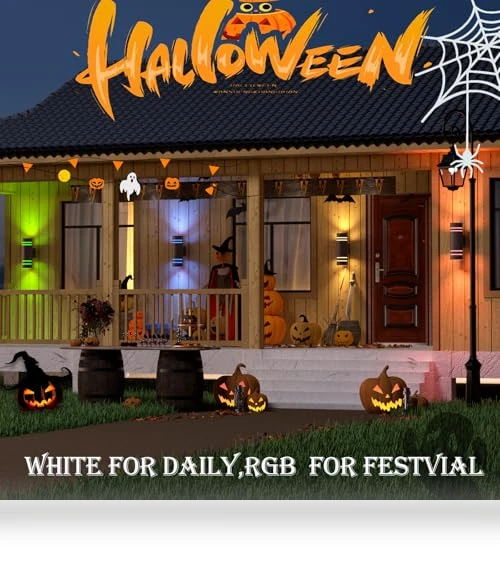 Outdoor Wall Lights — Outdoor Wall Lighting, WISELUME