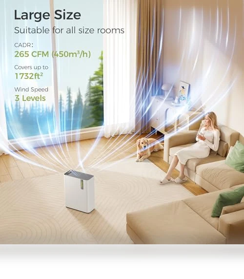 Smart WiFi Air Purifier with Humidifier — Air Moisturizers, Dhyala