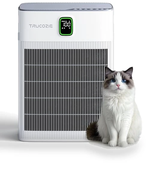 Air Purifier for Home — Activated Carbon Air Purifiers, Trucozie Home