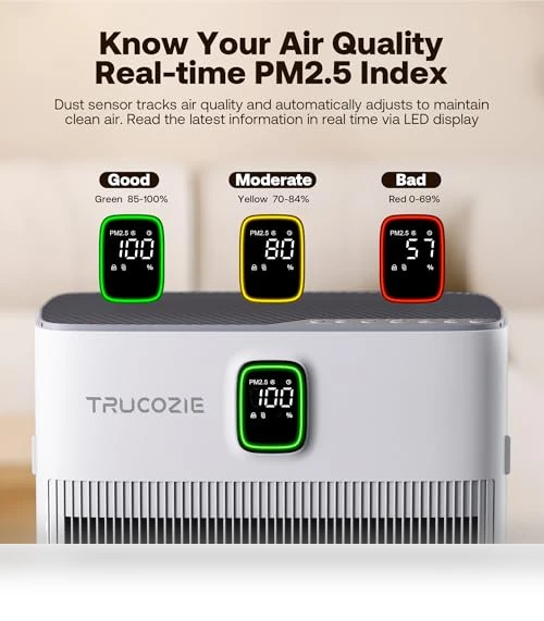 Air Purifier for Home — Activated Carbon Air Purifiers, Trucozie Home