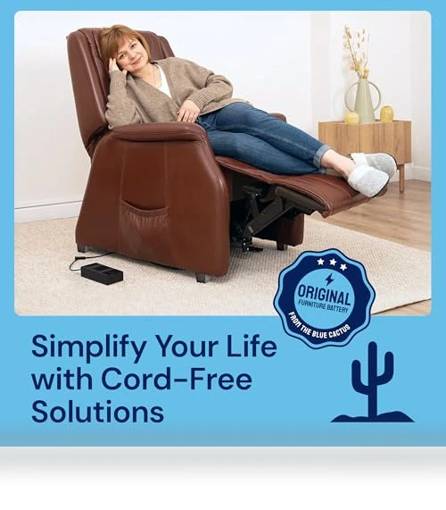 Big Battery Pack for Reclining Furniture — Batteries, The Blue Cactus Company