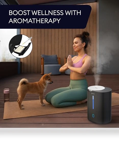 Cool Mist Air Humidifier — Air Moisturizers, GENIANI