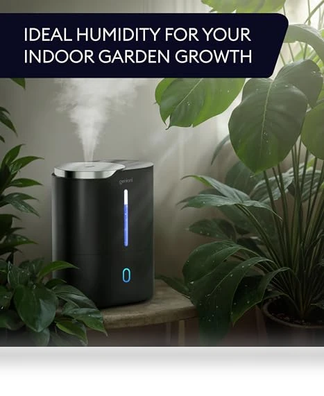 Cool Mist Air Humidifier — Air Moisturizers, GENIANI