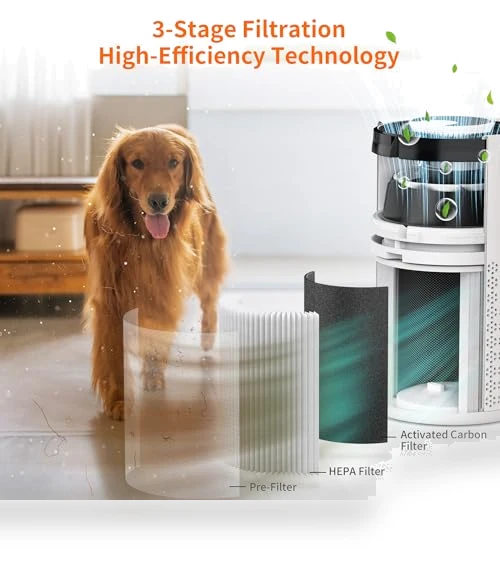 HEPA Air Purifier — Activated Carbon Air Purifiers, AIRROMI