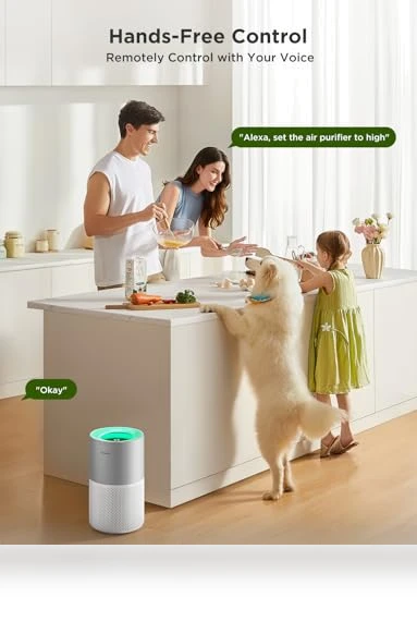 Smart Air Purifier for Homes and Large Rooms — Activated Carbon Air Purifiers, GoveeLife