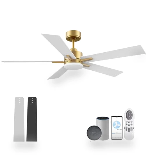 Smart Ceiling Fan with LED Lights — Ceiling Fan Wall Controls, Lorpies