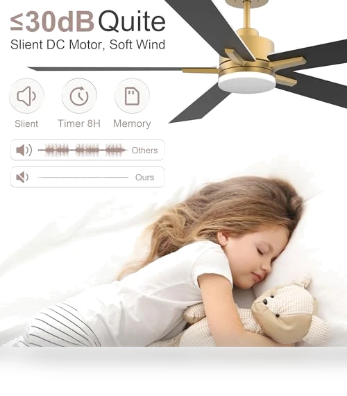 Smart Ceiling Fan with LED Lights — Ceiling Fan Wall Controls, Lorpies