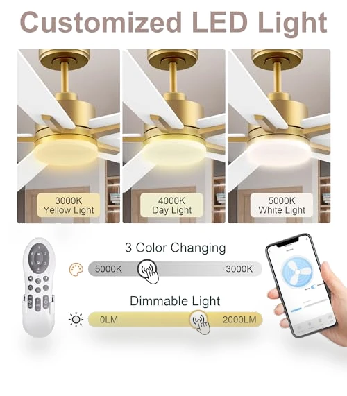 Smart Ceiling Fan with LED Lights — Ceiling Fan Wall Controls, Lorpies