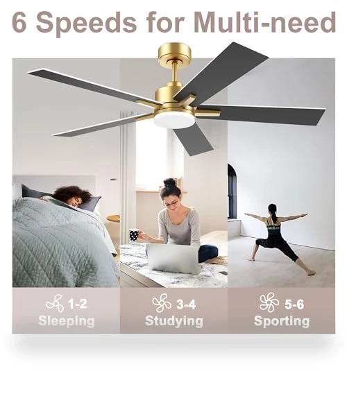 Smart Ceiling Fan with LED Lights — Ceiling Fan Wall Controls, Lorpies