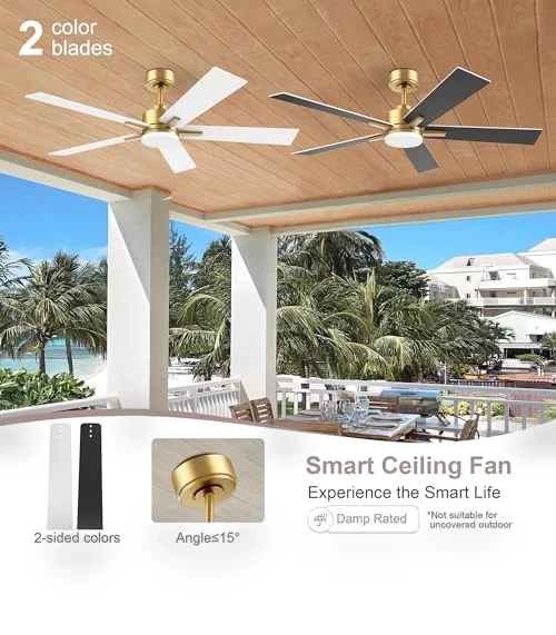Smart Ceiling Fan with LED Lights — Ceiling Fan Wall Controls, Lorpies