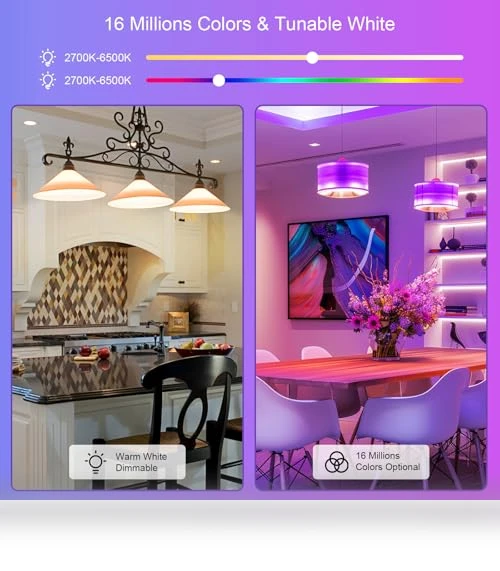 Smart Light Bulbs 2 Pack — LED, FRIDEKO HOME