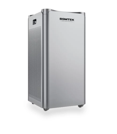 Large Room Air Purifier — Activated Carbon Air Purifiers, BSMTEK