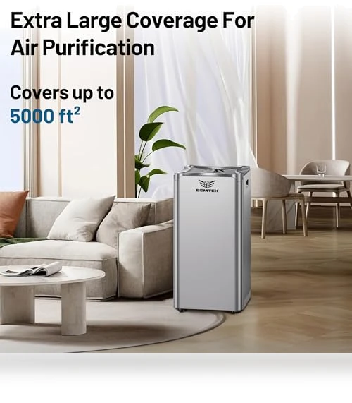 Large Room Air Purifier — Activated Carbon Air Purifiers, BSMTEK