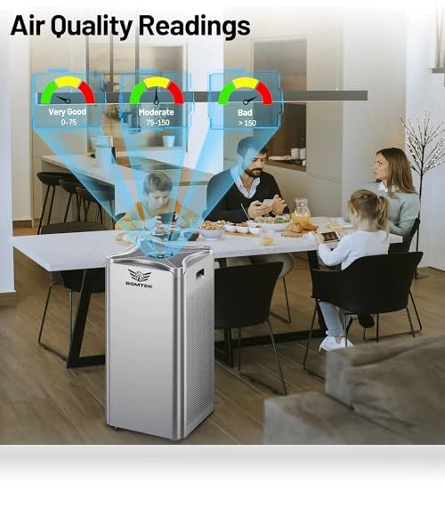Large Room Air Purifier — Activated Carbon Air Purifiers, BSMTEK