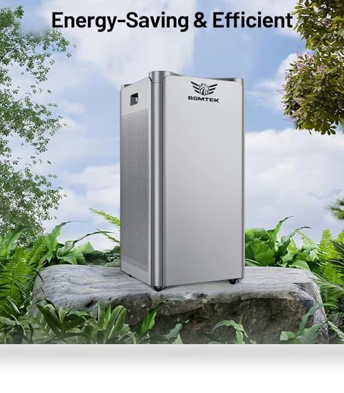 Large Room Air Purifier — Activated Carbon Air Purifiers, BSMTEK