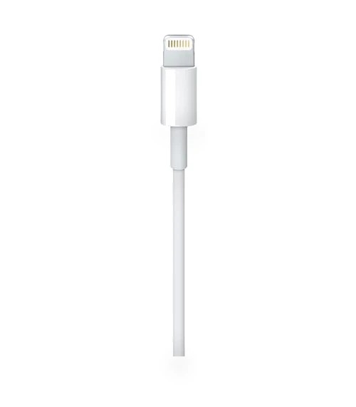 Lightning to USB Cable — Chargers, Apple