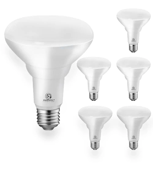 6-Pack LED Recessed Light Bulb — LED, ENERGETIC SMARTER LIGHTING