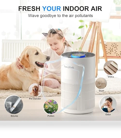 Air Purifier with Sleep Mode & Aroma Function — Activated Carbon Air Purifiers, FancyBark