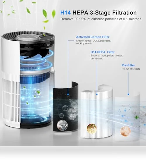 Air Purifier with Sleep Mode & Aroma Function — Activated Carbon Air Purifiers, FancyBark